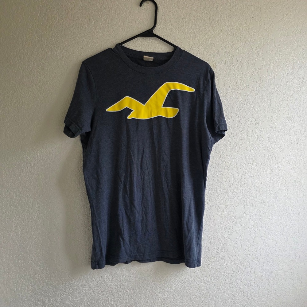 Hollister Mens Gray Graphic T-Shirt Size XL Seagull Logo Casual